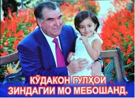 проверка